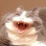 manuke neko profil fotoğrafı