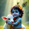 Profilbild von Rajesh ringya chhareda