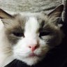 Profilbild von きー坊