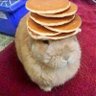 s's profile picture