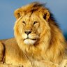 واحد من المسلمين profil fotoğrafı