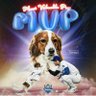 Фото профиля さくらいSHOミー