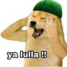 MullahisChutiya profil fotoğrafı