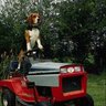 Tractor Driver's profile picture