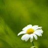 Фото профиля atsuhime7