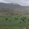 Habtom Ghebremichael ሃብቶም ገበረሚካኤል 的头像