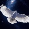 80spirit's profile picture