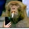 Profilbild von thulas