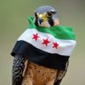 Фото профиля عماد الجنابي