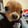 おはよ's profile picture
