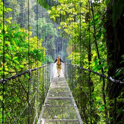 Ecotourism's profile picture