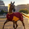 Bad Horse 的头像