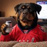 Sports Suds and Shenanigans's profile picture