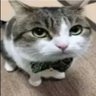 fr3iks profil fotoğrafı