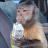 dr dillamond's profile picture