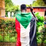 Nabeel Suliman's profile picture