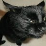 Yyyyxxxb profil fotoğrafı