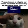 Ruróuni35's profile picture