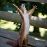 Eric Guite's profile picture