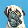 ハルシウム's profile picture