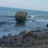 Фото профиля ناصر الناصر