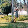 Ivani Vieira's profile picture