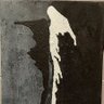Lutko Tartampion profil fotoğrafı