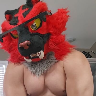 Big Cat Basco 😤🔥's profile picture