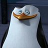 FP0's profile picture