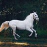 Фото профиля esam