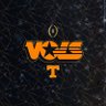 VolArmy ⬜🟧🍊's profile picture