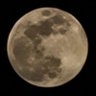 ن والقلم's profile picture