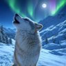 Фото профиля Lonewolf1121