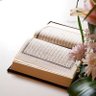 Фото профиля بالقرآن اهتديت