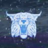 WildcatsAnon's profile picture