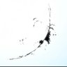 ゆーれー profil fotoğrafı