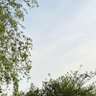 るい profil fotoğrafı