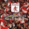 Americano desde 3 generaciones atras.'s profile picture