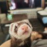 Profilbild von 大ちゃん