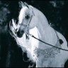 Фото профиля Hana .. 🕊