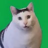 Profilbild von 出雲ネテル