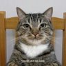 zoe profil fotoğrafı