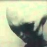 Survivor1947's profile picture