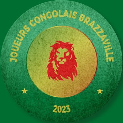 Joueurs Congolais 🇨🇬's profile picture