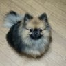 きょう profil fotoğrafı