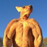 Profilbild von Millzy