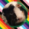 Profilbild von Actiniaria 🏳️🌈 🚦🎄