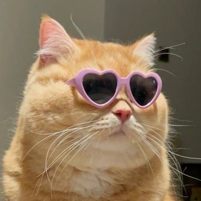 nnew's profile picture