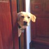 Bhutti_MQONI's profile picture