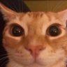 Profilbild von aeilgfjweijigjdojorep